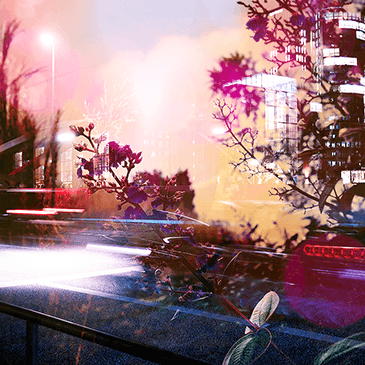 Spring Awakeness